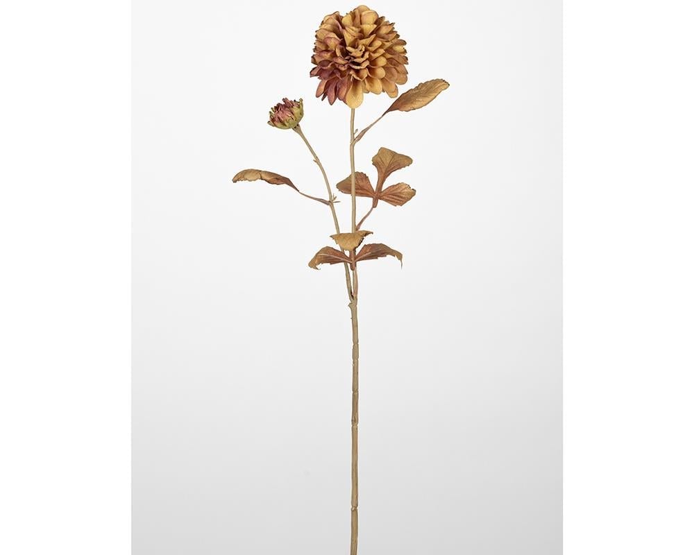 Çinpa Kasımpatı 72 Cm