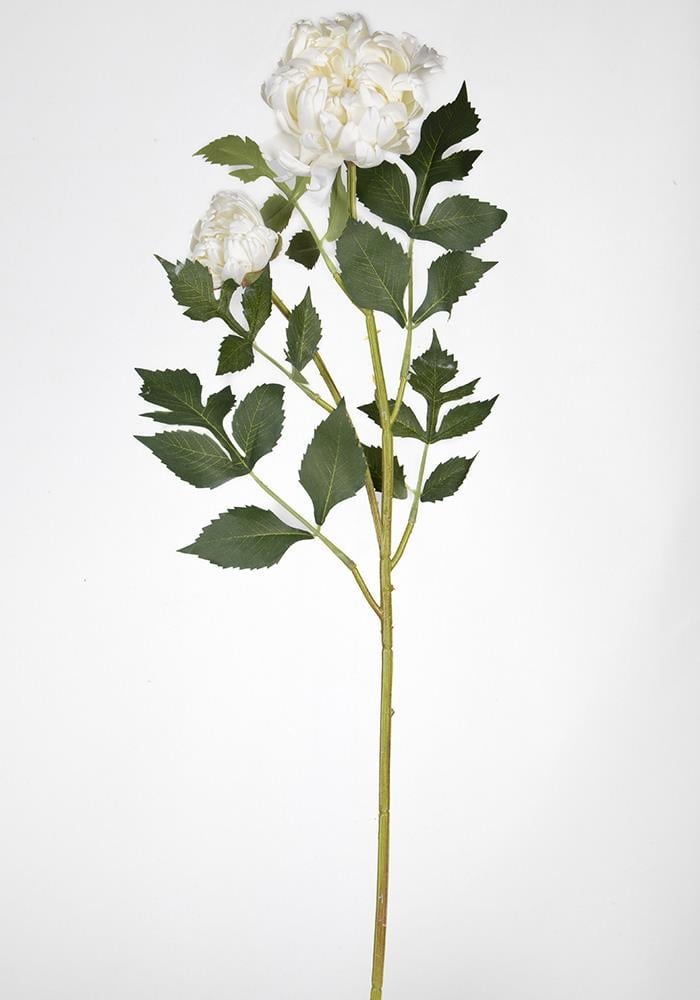 Çinpa Krizantem 70Cm
