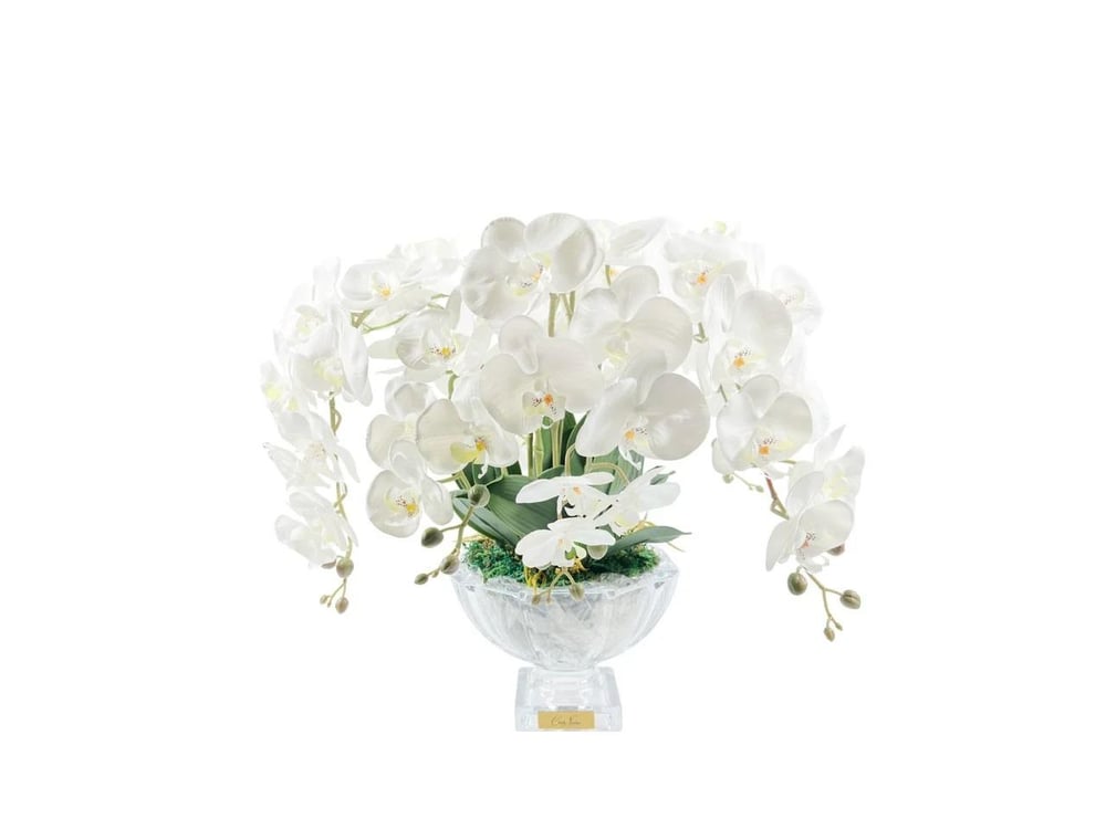 Cote Noire - Luxury Centerpiece Beyaz Orkide Koku