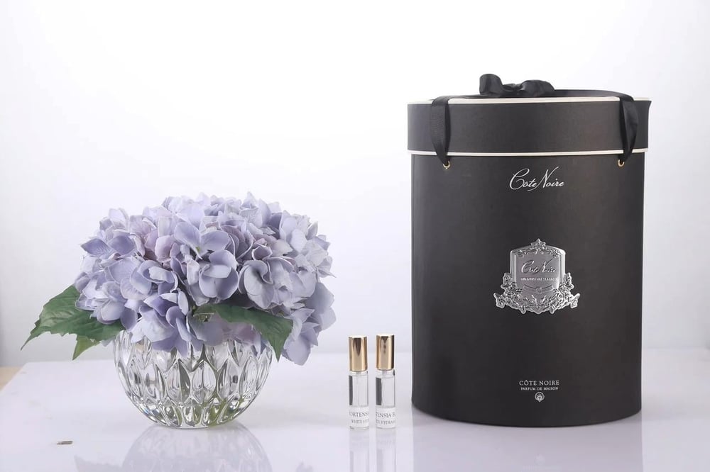 Cotenoıre Luxury Range Hydrangeas Mavi Koku