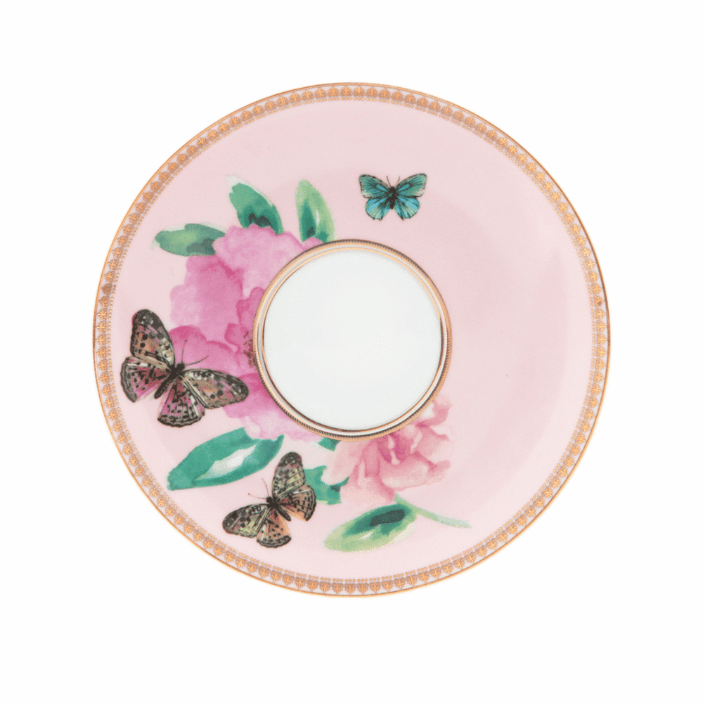 Crıstına Re Teacup Butterfly Garden