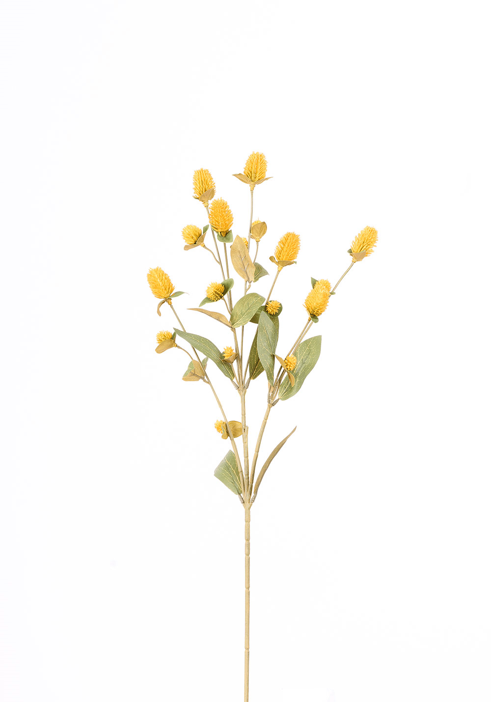 Globosa Tek Dal 69cm
