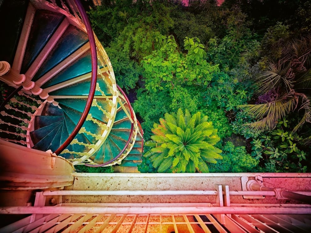 Green Houses Kitap