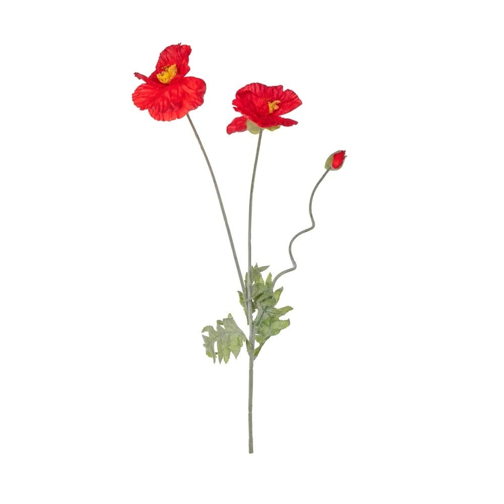 Heads Poppy (red)