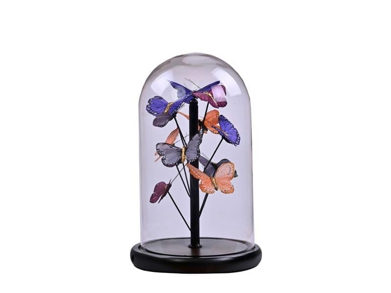LMD COLORFUL BUTTERFILES IN FANUS 23X23X38 CM