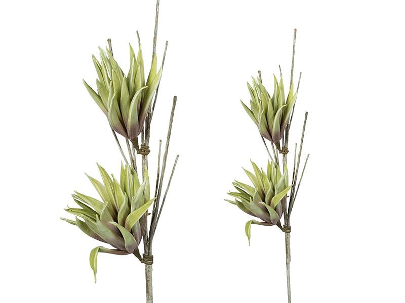 LMD CYPERUS YESIL KIRMIZI 78CM