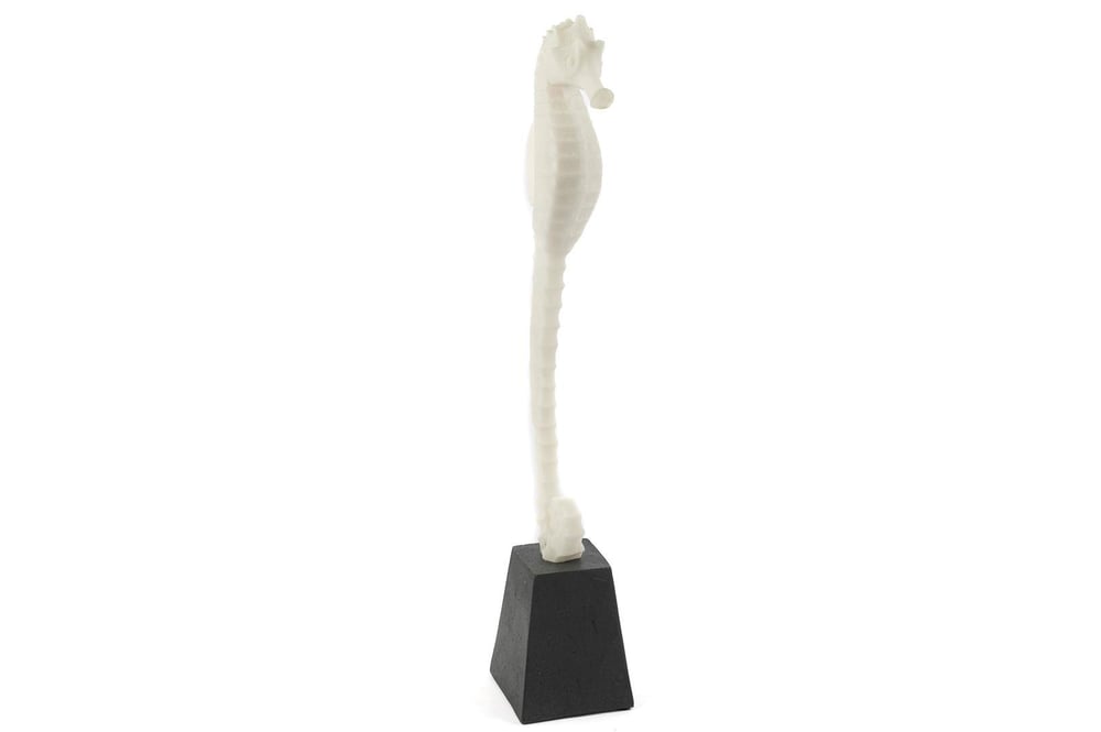 Mikasa Biblo Deniz Atı 13X51 Cm