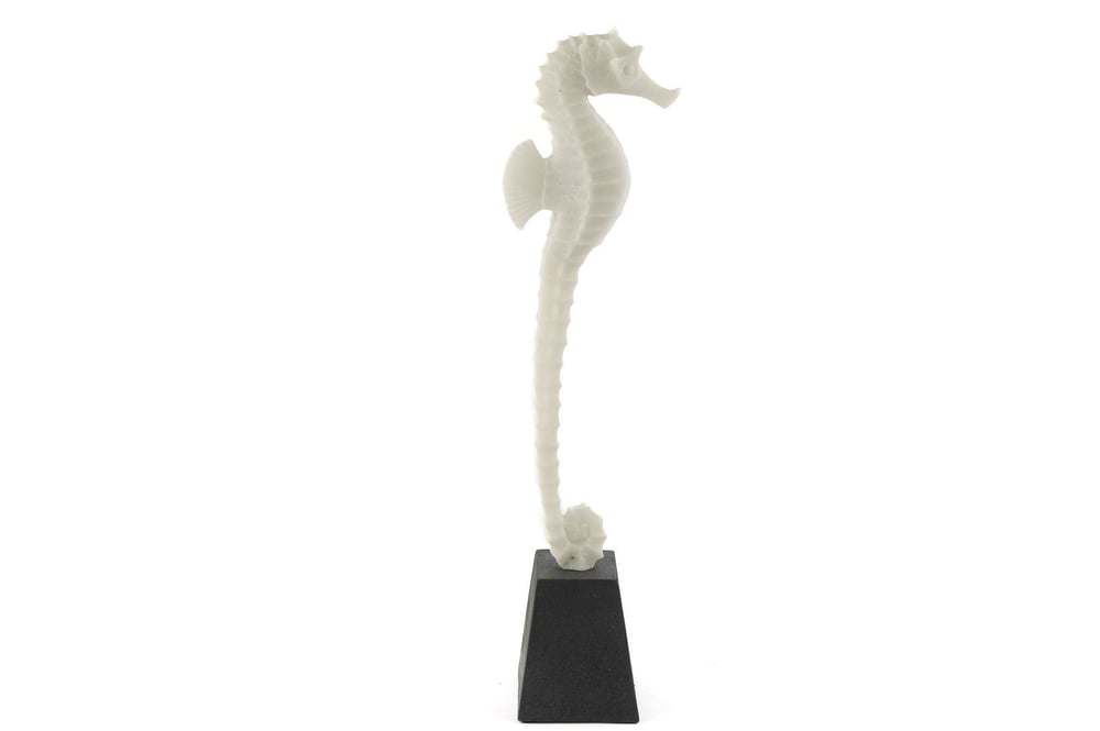 Mikasa Biblo Deniz Atı 13X51 Cm