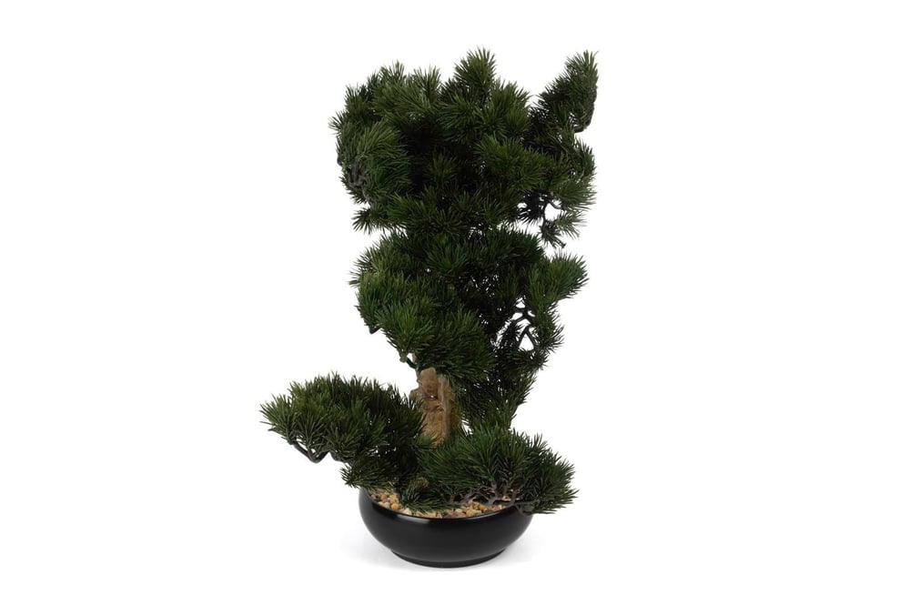 Mikasa Cypress Bonsai Yapay Ağaç 53Cm