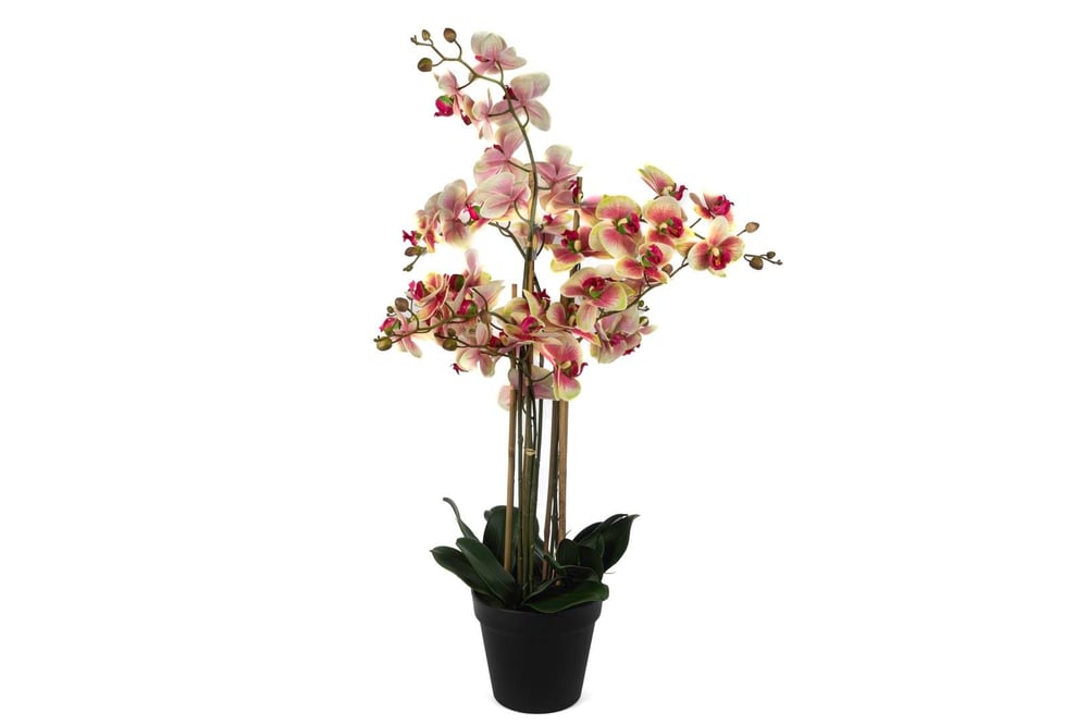 Mikasa Krem Pembe 8li Yapay Orkide 110cm