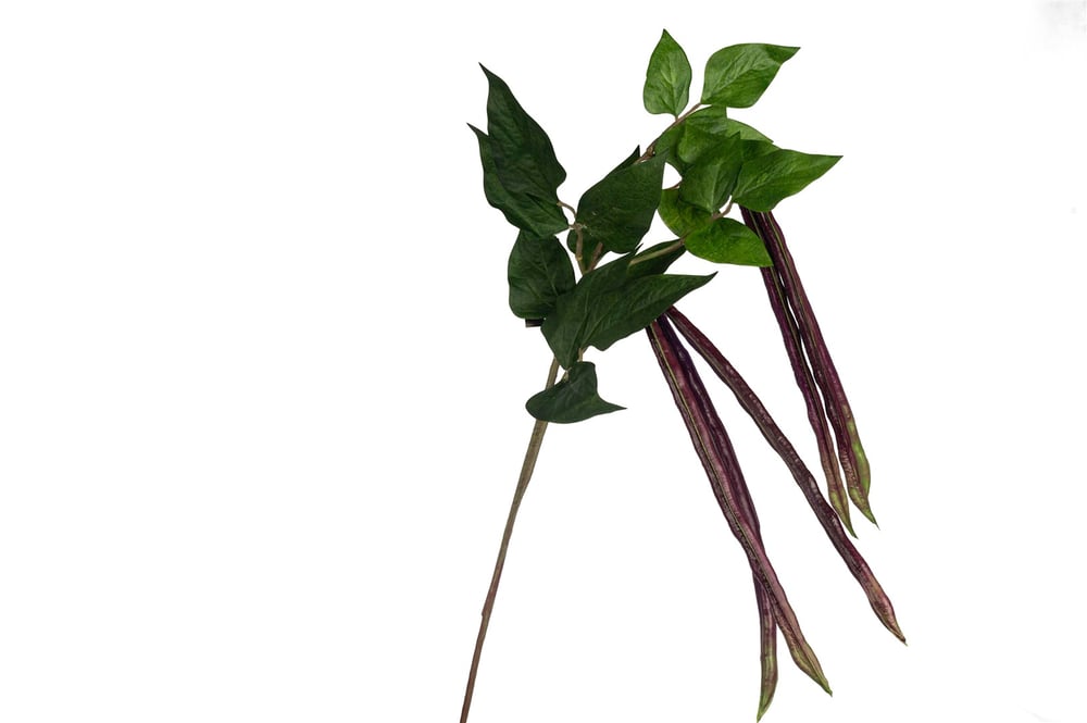 Mikasa Mor Fasulye Yapay Çiçek 99cm