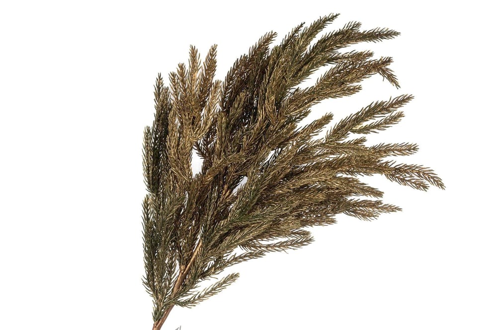 Mikasa Pine Gold Yapay Çiçek 91cm