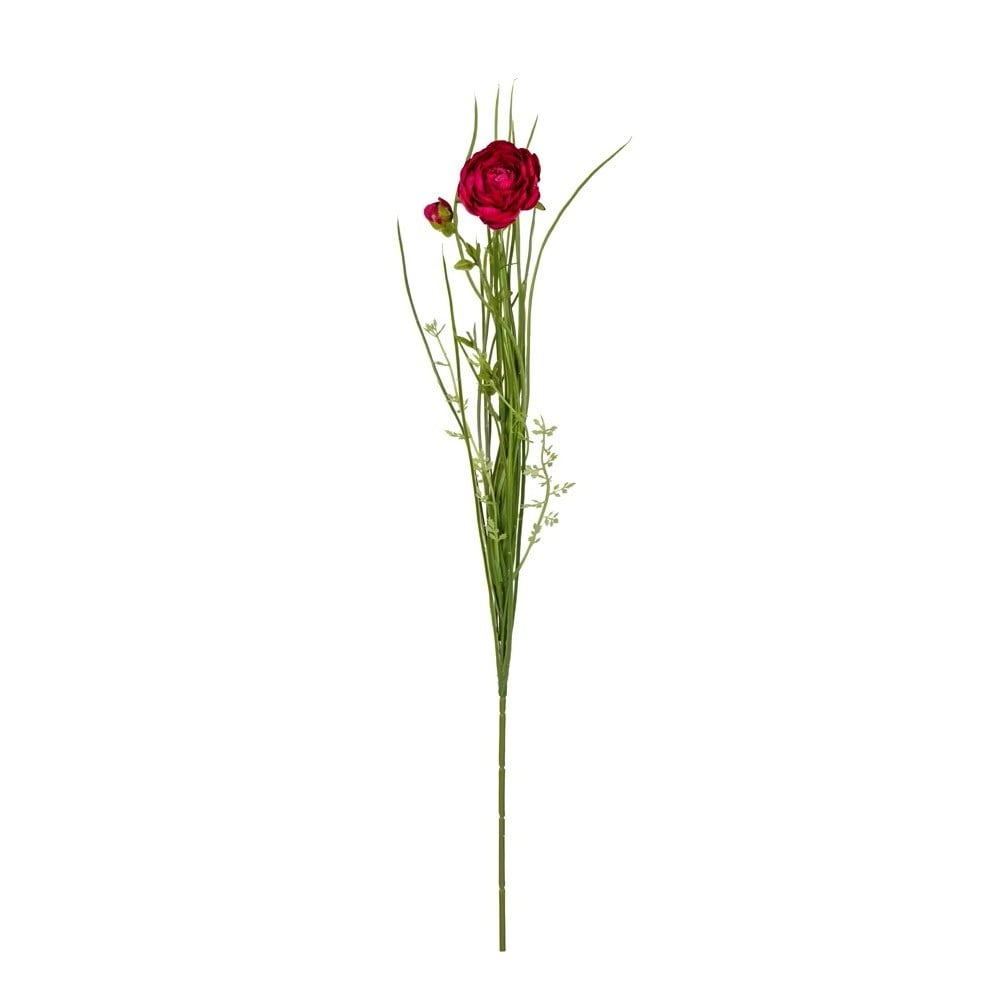Ranunculus Tekdal 72 Cm. (fushia)