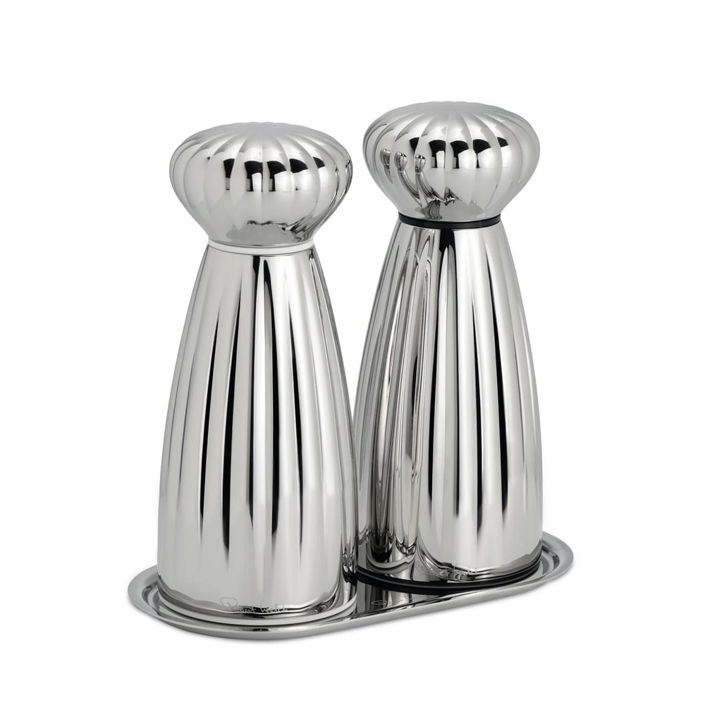 Robert Welch Parlak Tuzluk Biberlik Set