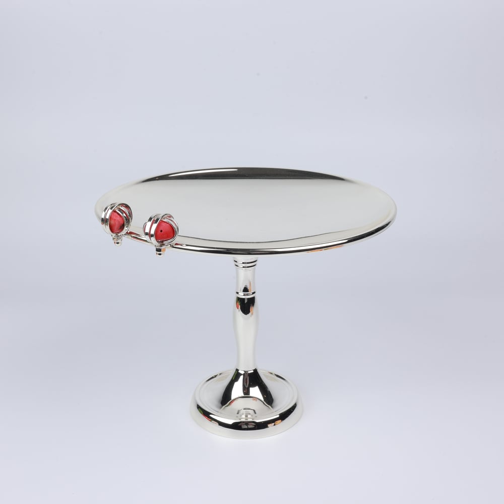 Select Dt Pastalık 25*21 Cm