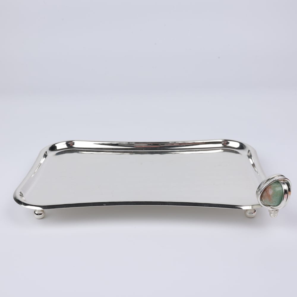 Select Dt Tray 21X14 Cm 6 Renk