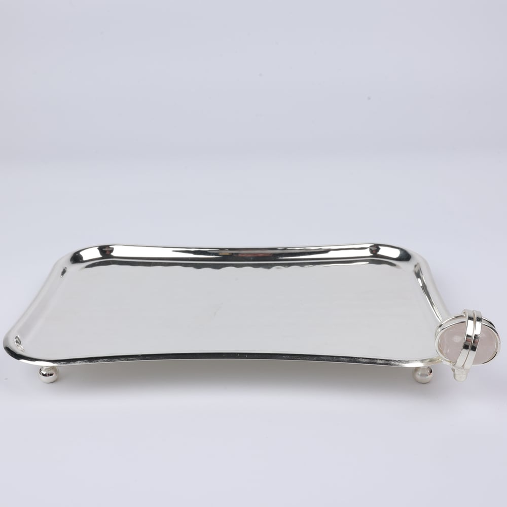 Select Dt Tray 21X14 Cm 6 Renk