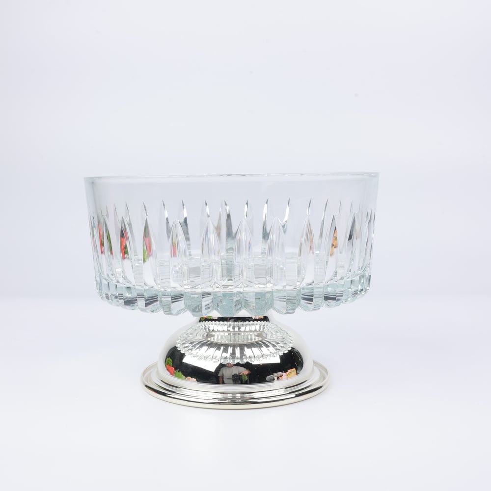 Select Gümüş Ayaklı Salata Kasesi 19 Cm