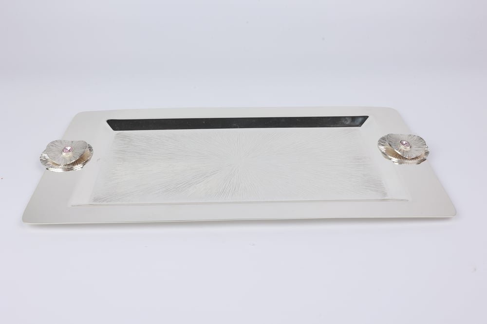 Select Ptn Rect.Tray 35X17 Cm