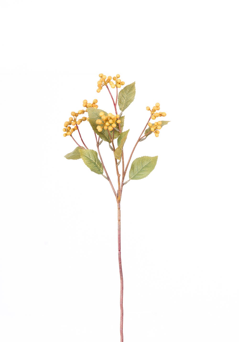Wıld Berry Tek Dal 53cm