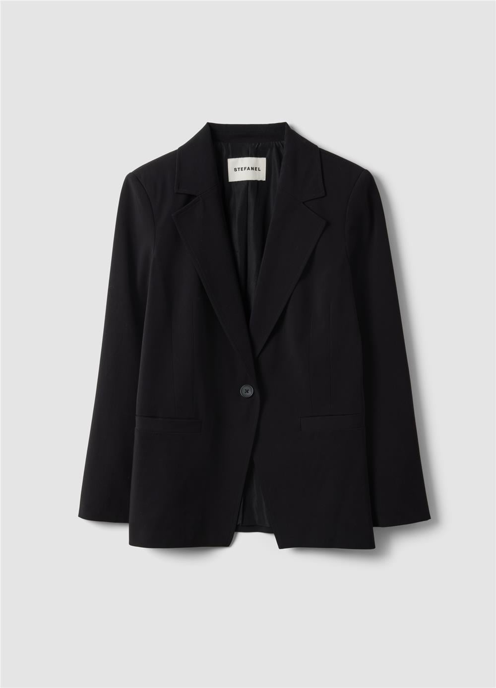 Astarlı Siyah Şık Regular Kalıp Blazer Ceket