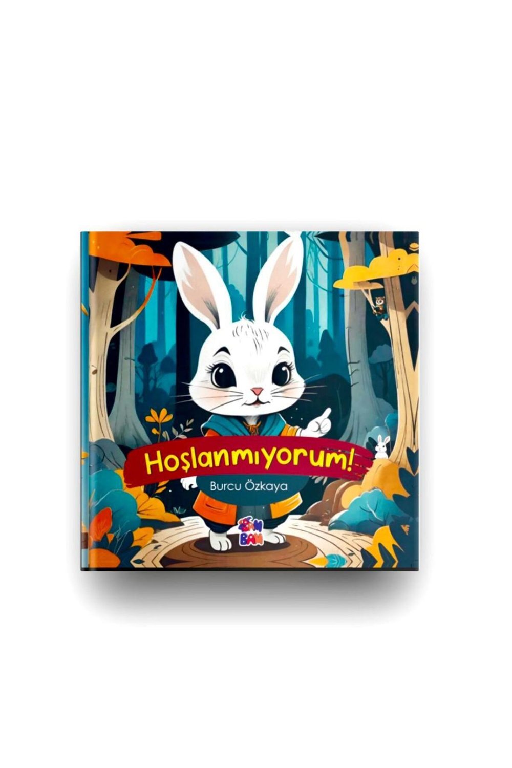 hoslanmiyorum-7-4874.jpg