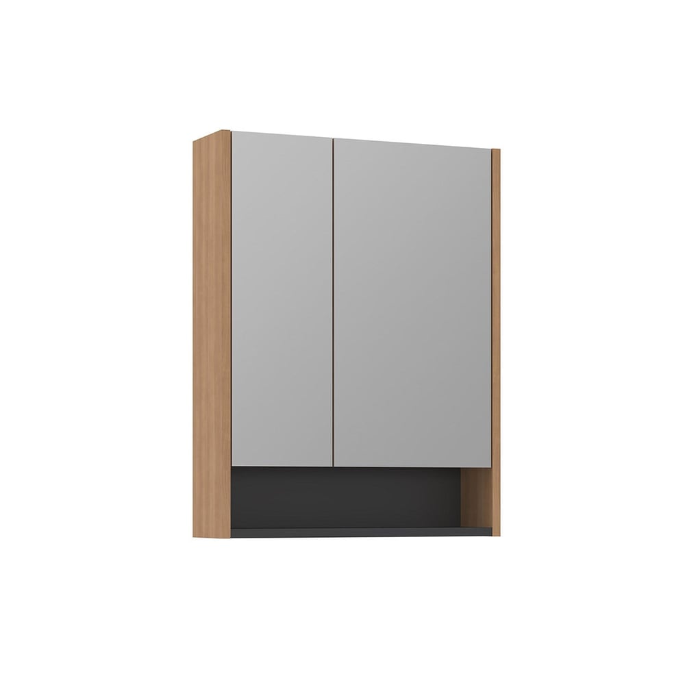 Ricato 60 cm Banyo Üst Ayna Dolabı