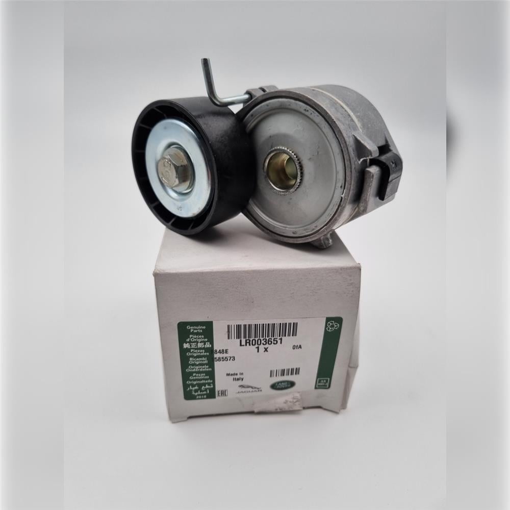 LR003651 V KAYIŞ GERGİSİ
