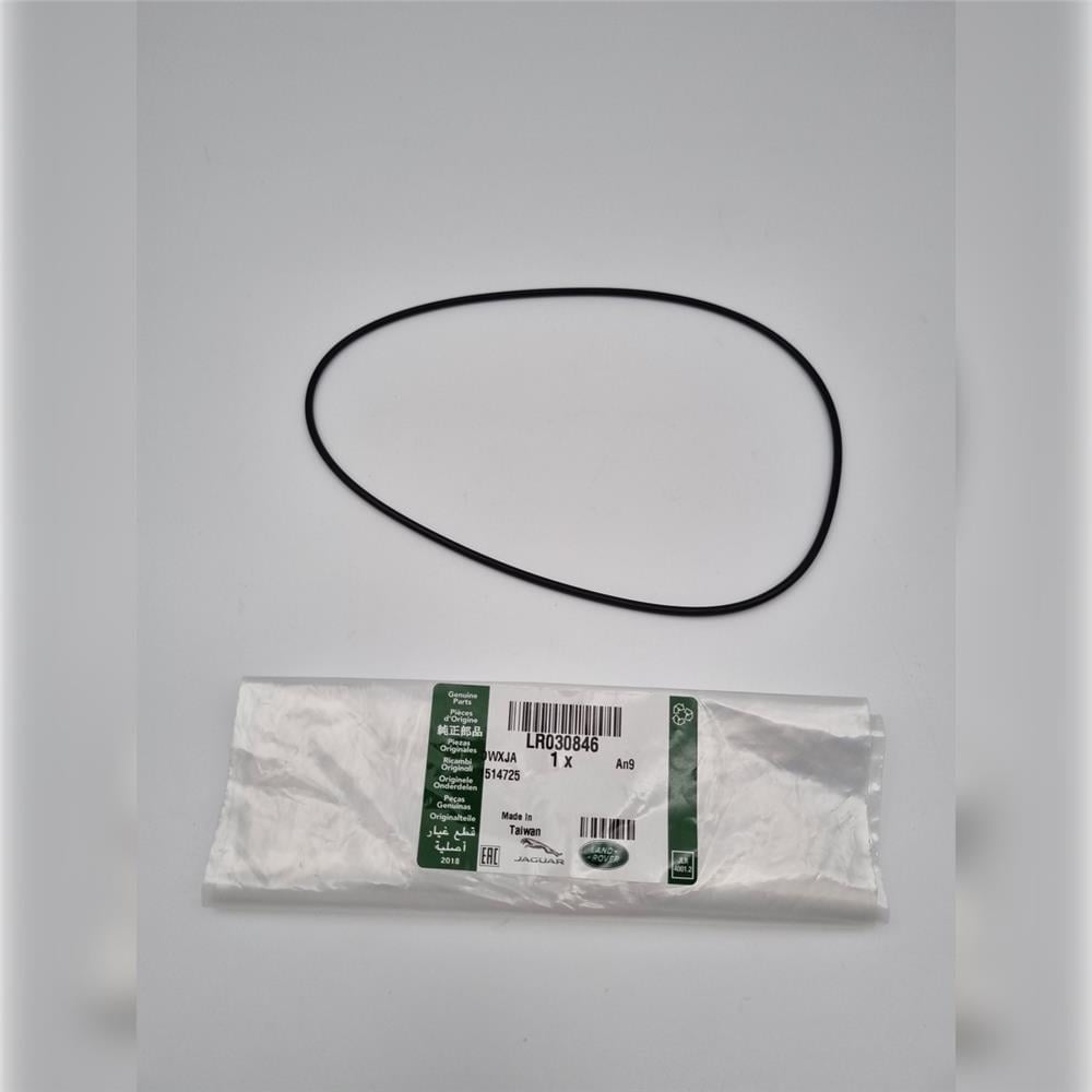 LR030846 ARKA DİFERANSİYEL ORİNGİ