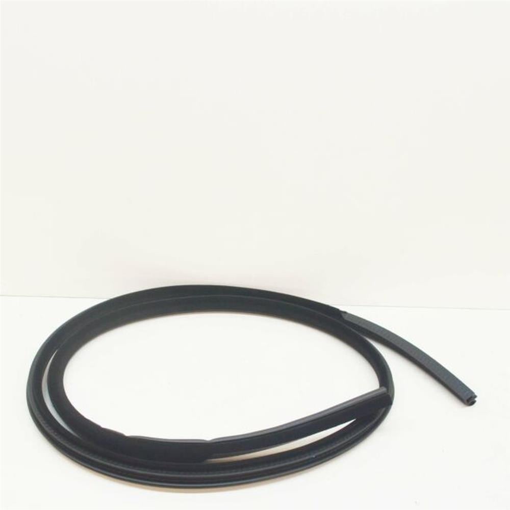LR034097 KAPI FİTİLİ