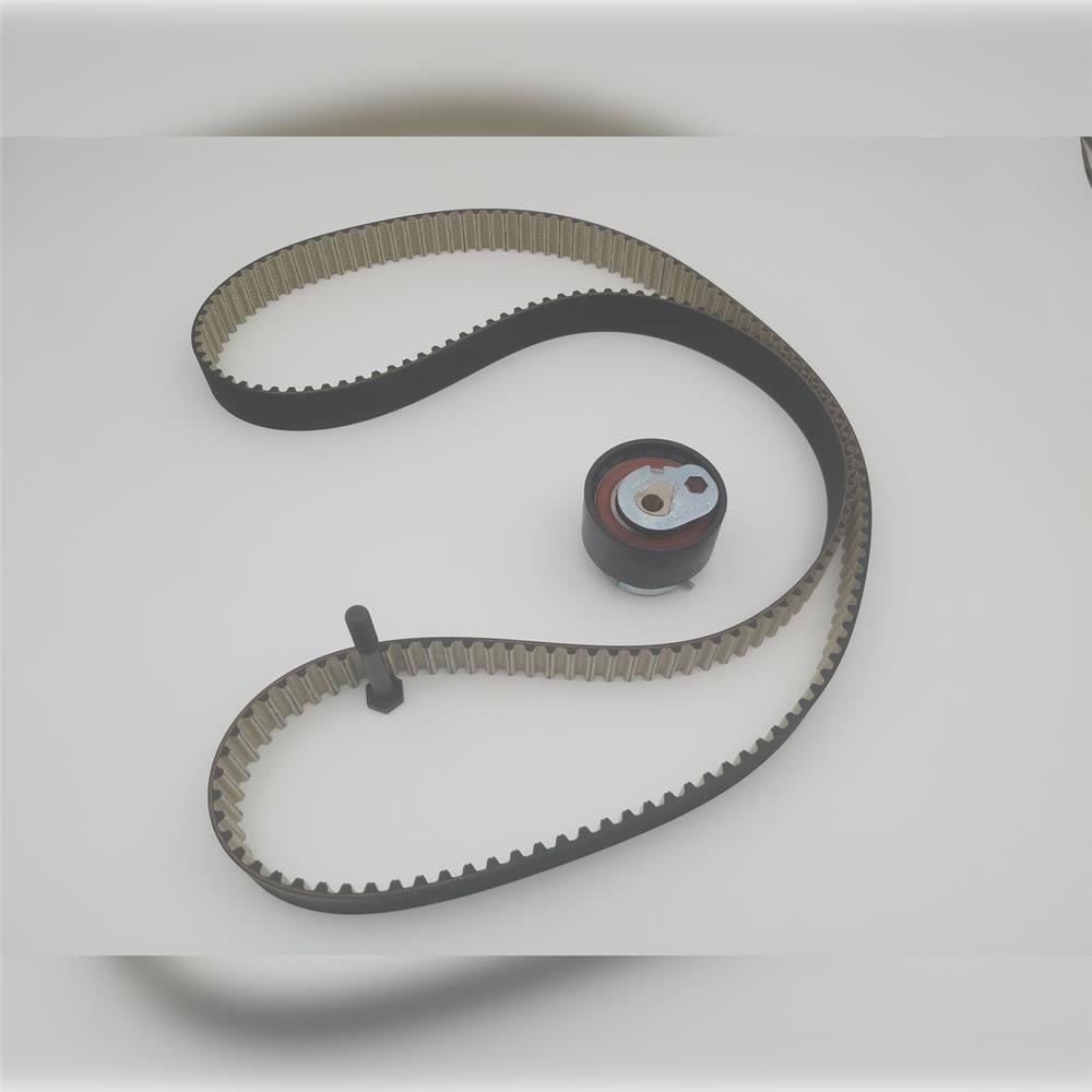 LR078913 TRİGER KAYIŞI