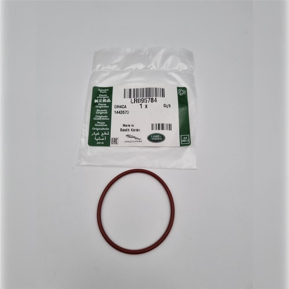 LR095784 KEÇE