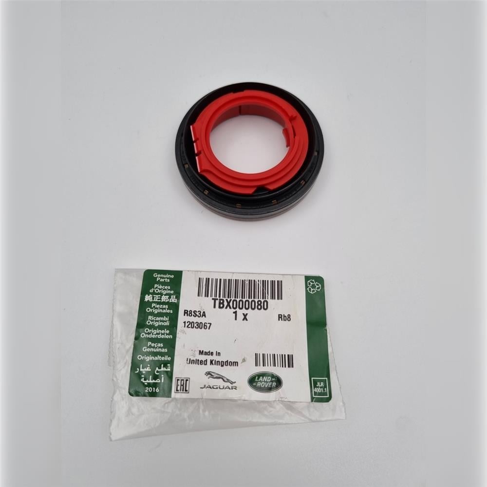 TBX000080 KEÇE
