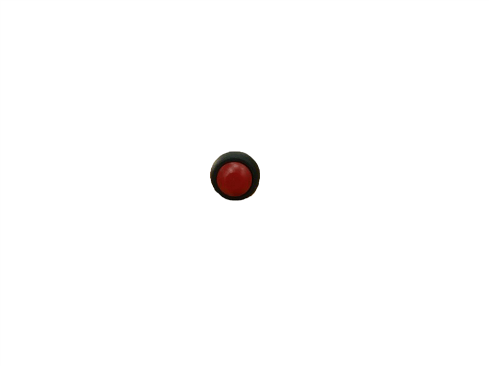 BUTON