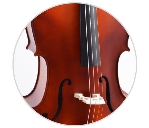 Çello (Viyolonsel) Gül 1/4 DCR14NM