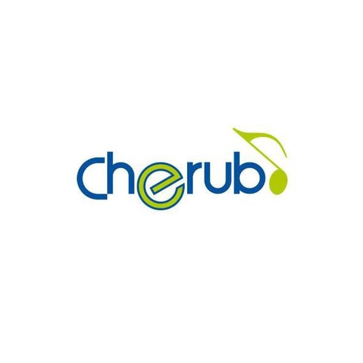 Cherub CH-ST710 Vacuum Tuning Tool
