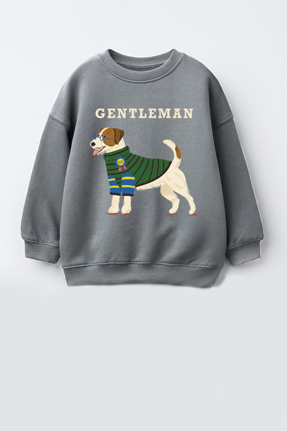 Erkek Çocuk 3 İplik Kumaş Hayvan Baskılı Pamuklu Sweatshirt
