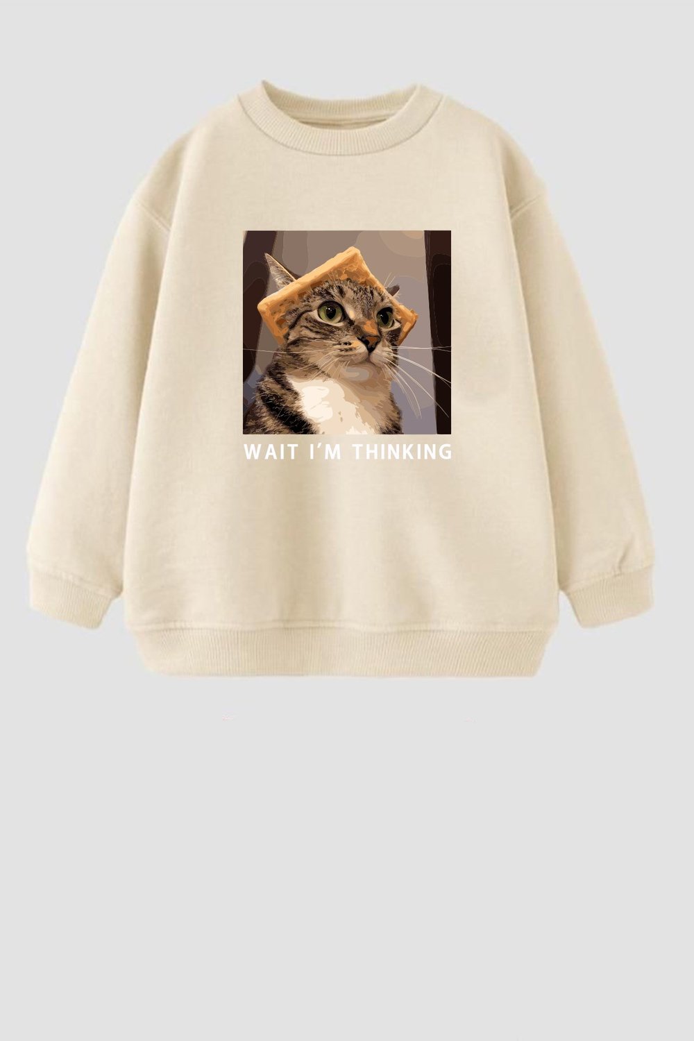 Erkek Çocuk 3 İplik Kumaş Kedi Baskılı Pamuklu Sweatshirt