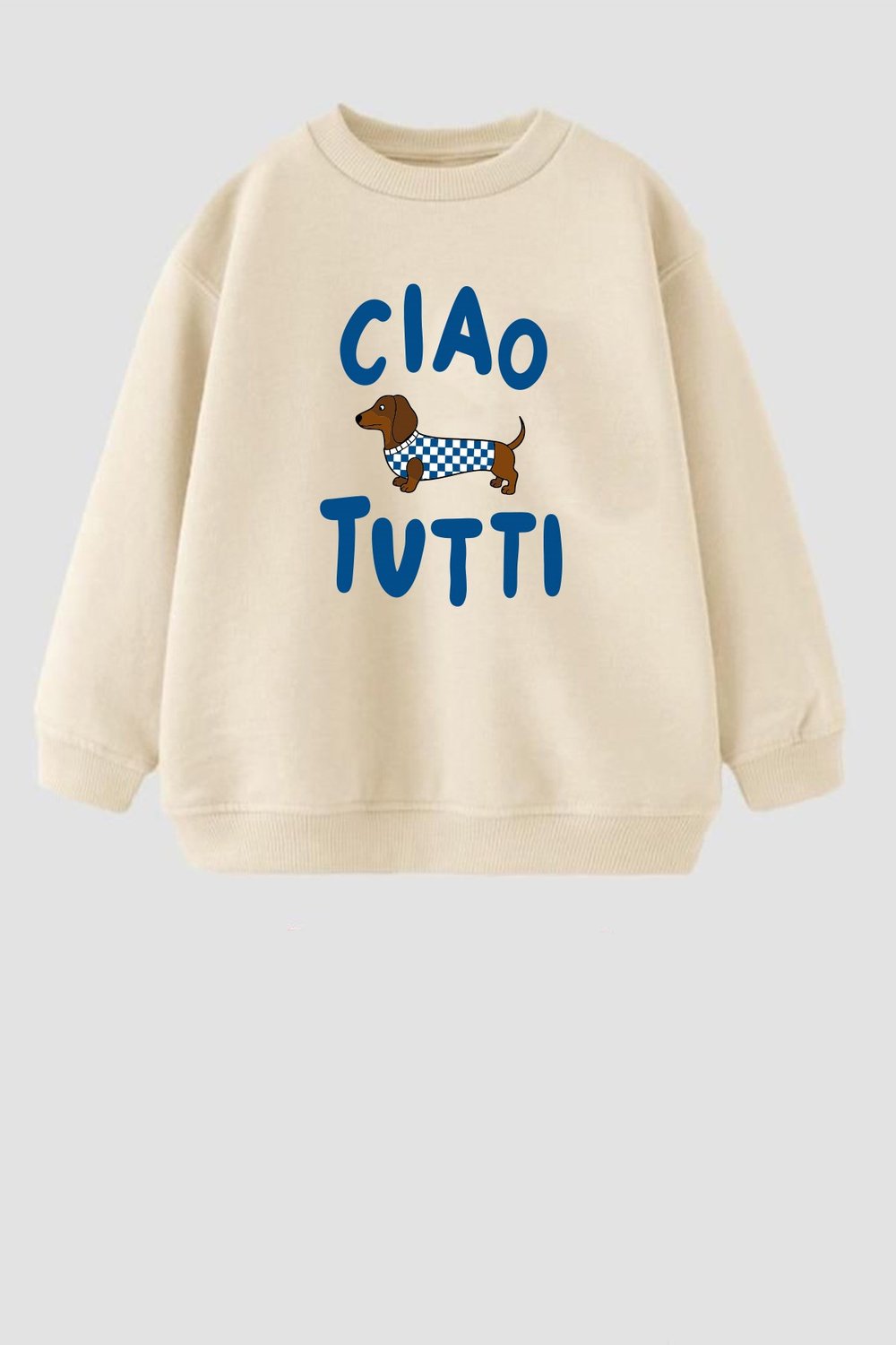 Erkek Çocuk 3 İplik Kumaş Köpek Baskılı Pamuklu Sweatshirt
