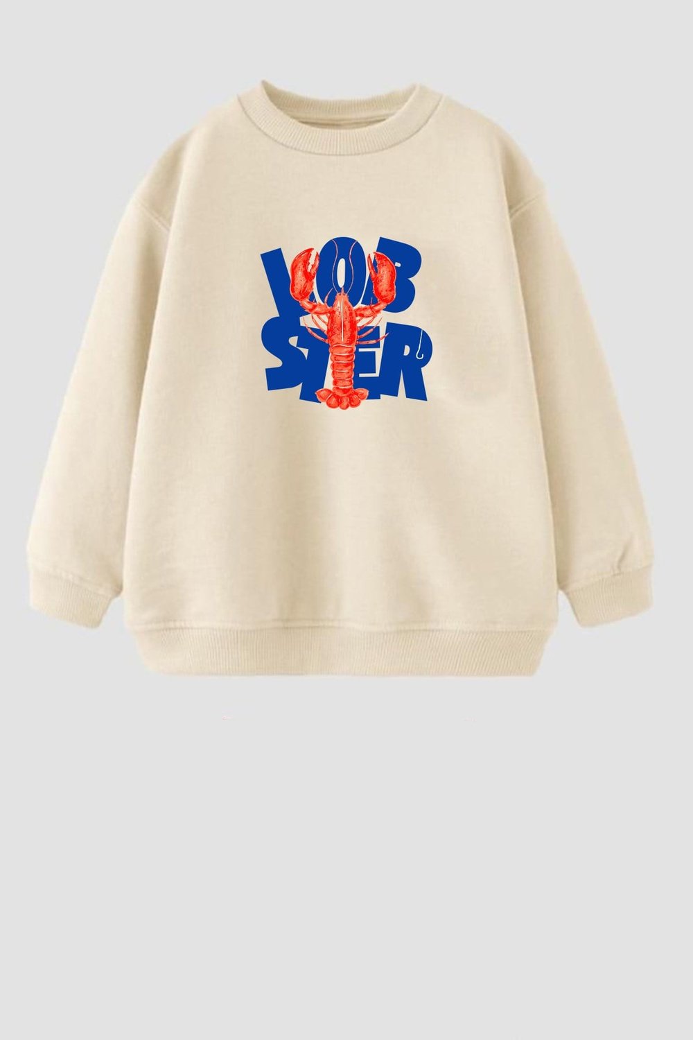 Erkek Çocuk 3 İplik Kumaş  Pamuklu Baskılı Sweatshirt