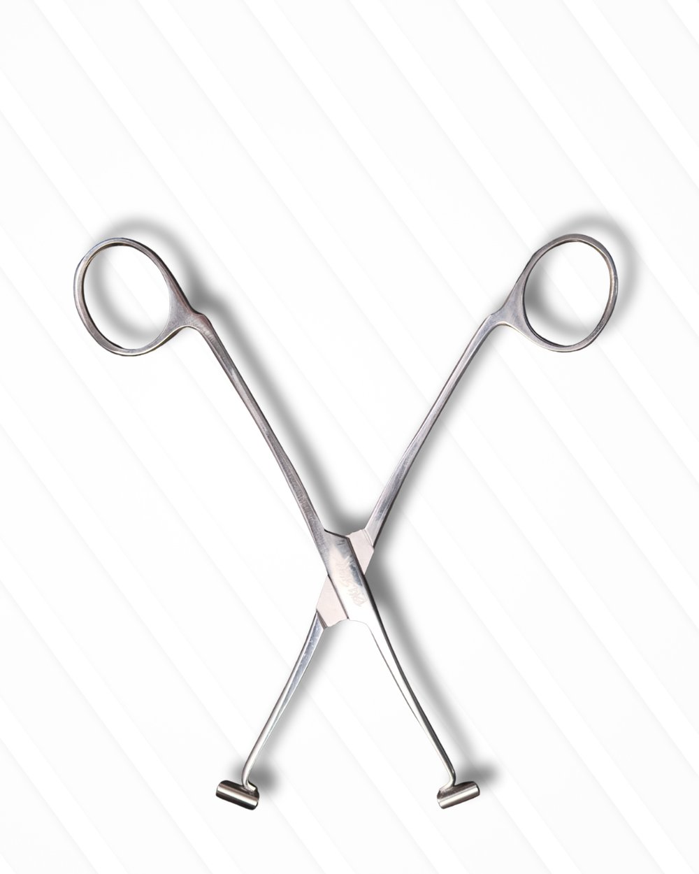 Piercing Pens Septum