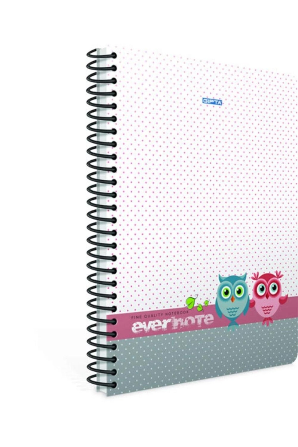 80 Yaprak A4 Envernote Spiralli Ofset Plastik Kapak Çizgili Defter 1694