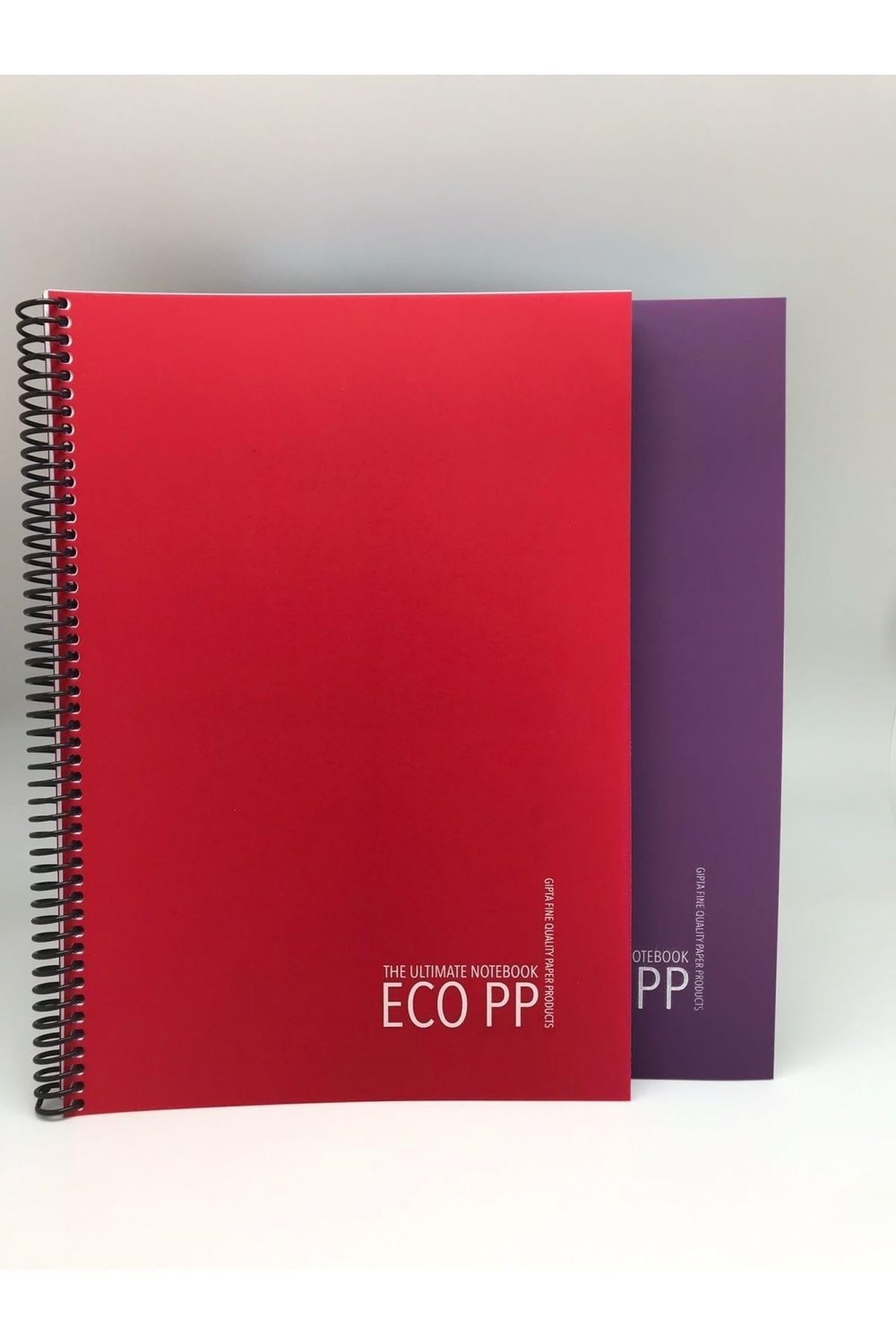 Eko Pp Spiralli Pp Kapak Defter A4 100 Yaprak Çizgili 2'li