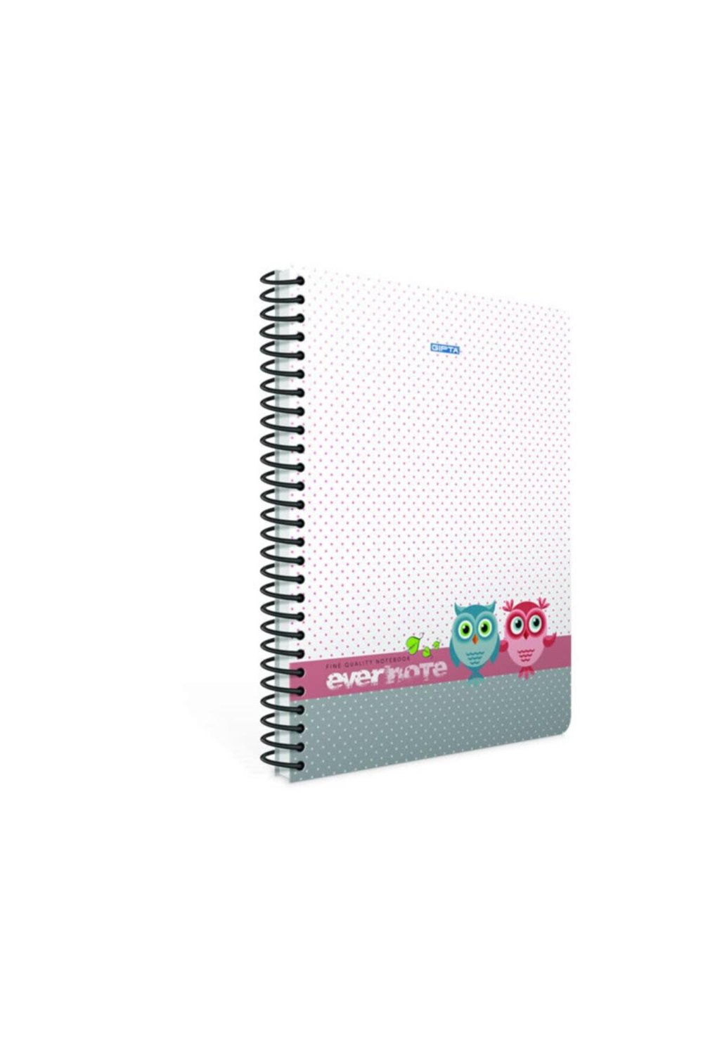 Evernote A4 100 Yaprak Çizgili Spiralli Defter