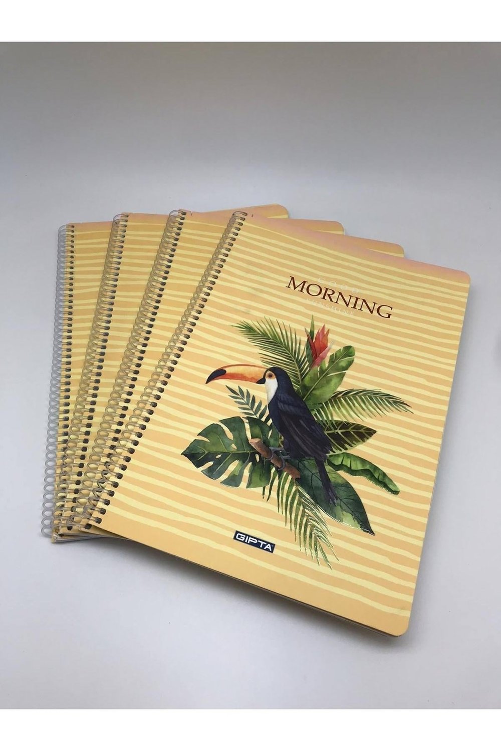 Gıpta Morning Spiralli Karton Kapak A4 80 Yaprak Kareli Defter 4'lü