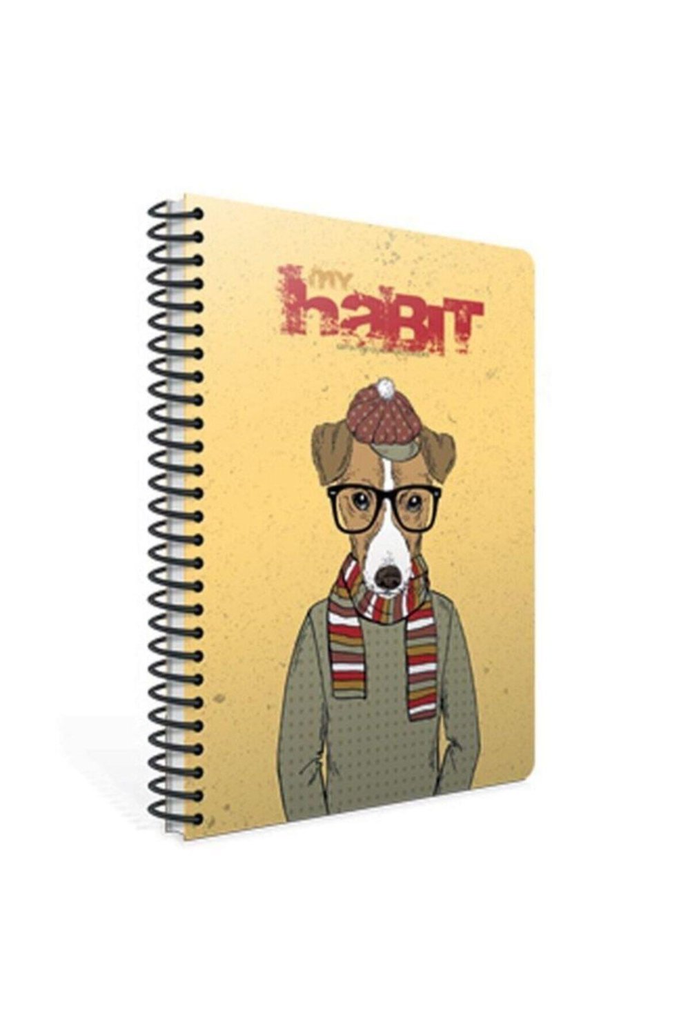 Habit Spiralli A4 80 Yaprak Çizgili