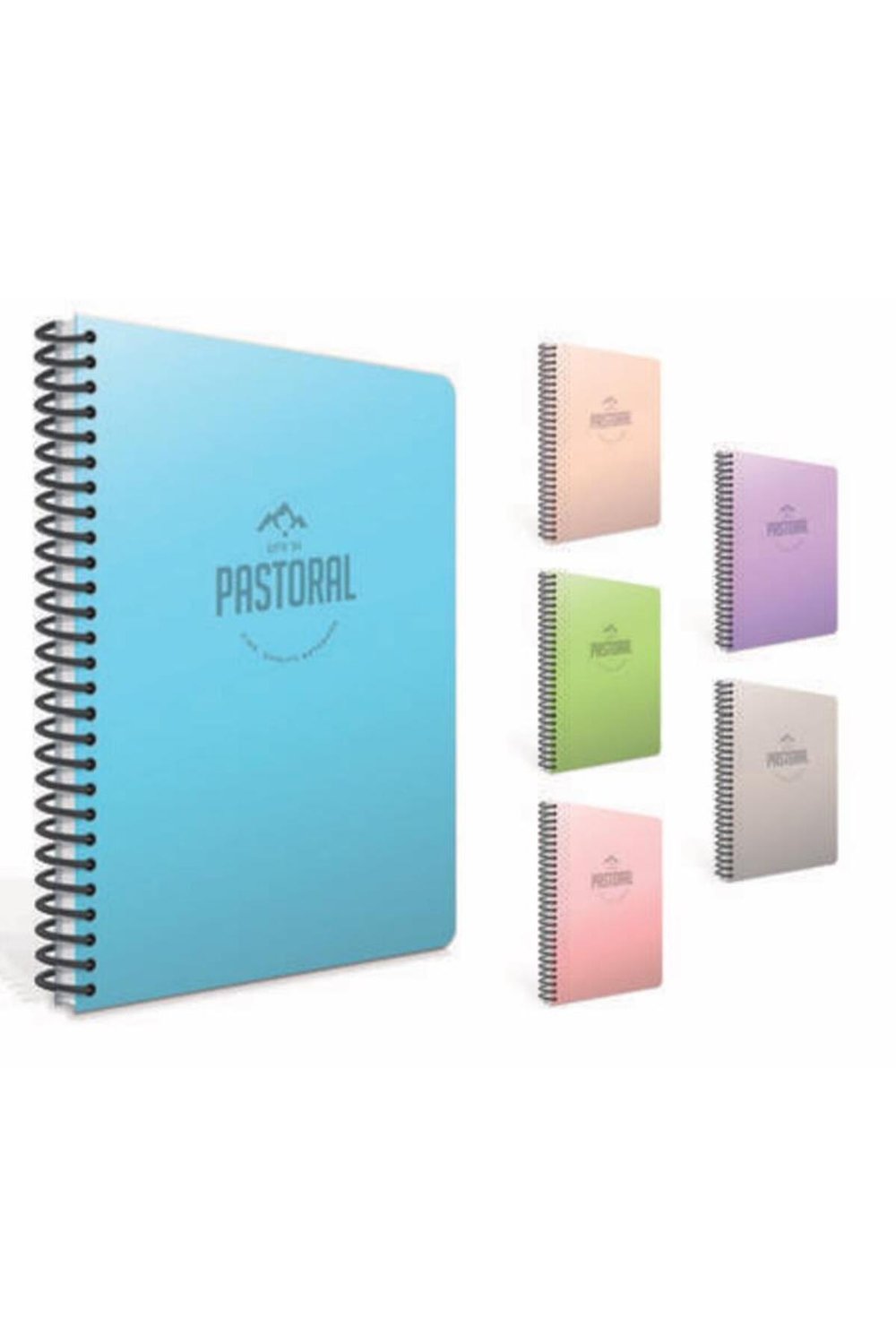 Pastoral Defter Spiralli Plastik Kapak 17x24 96 Yaprak Kareli