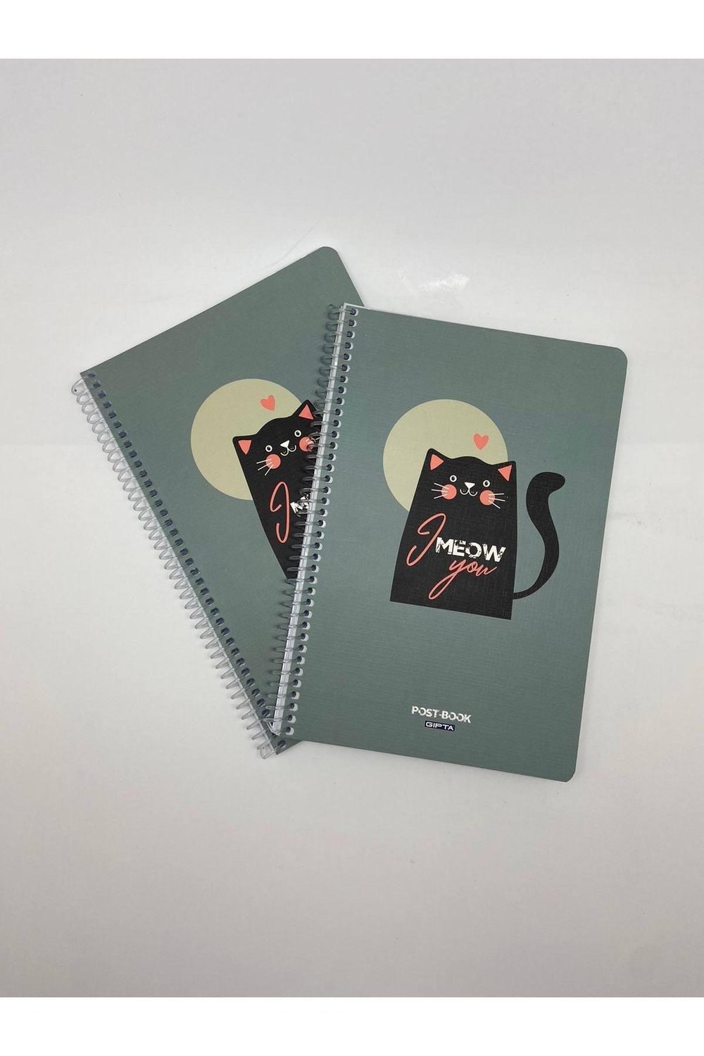 Post-book Spiralli Karton Kapak 17x24 80 Yaprak Kareli Defter 2'li