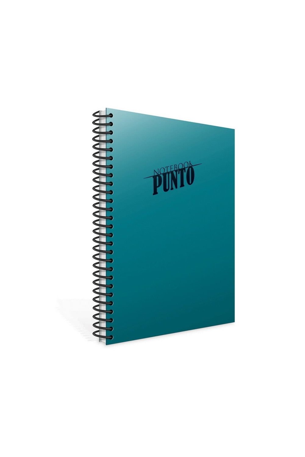 Punto A4 160 Yaprak Plastik Kapak Spiralli Defter (6543) Kareli Turkuaz