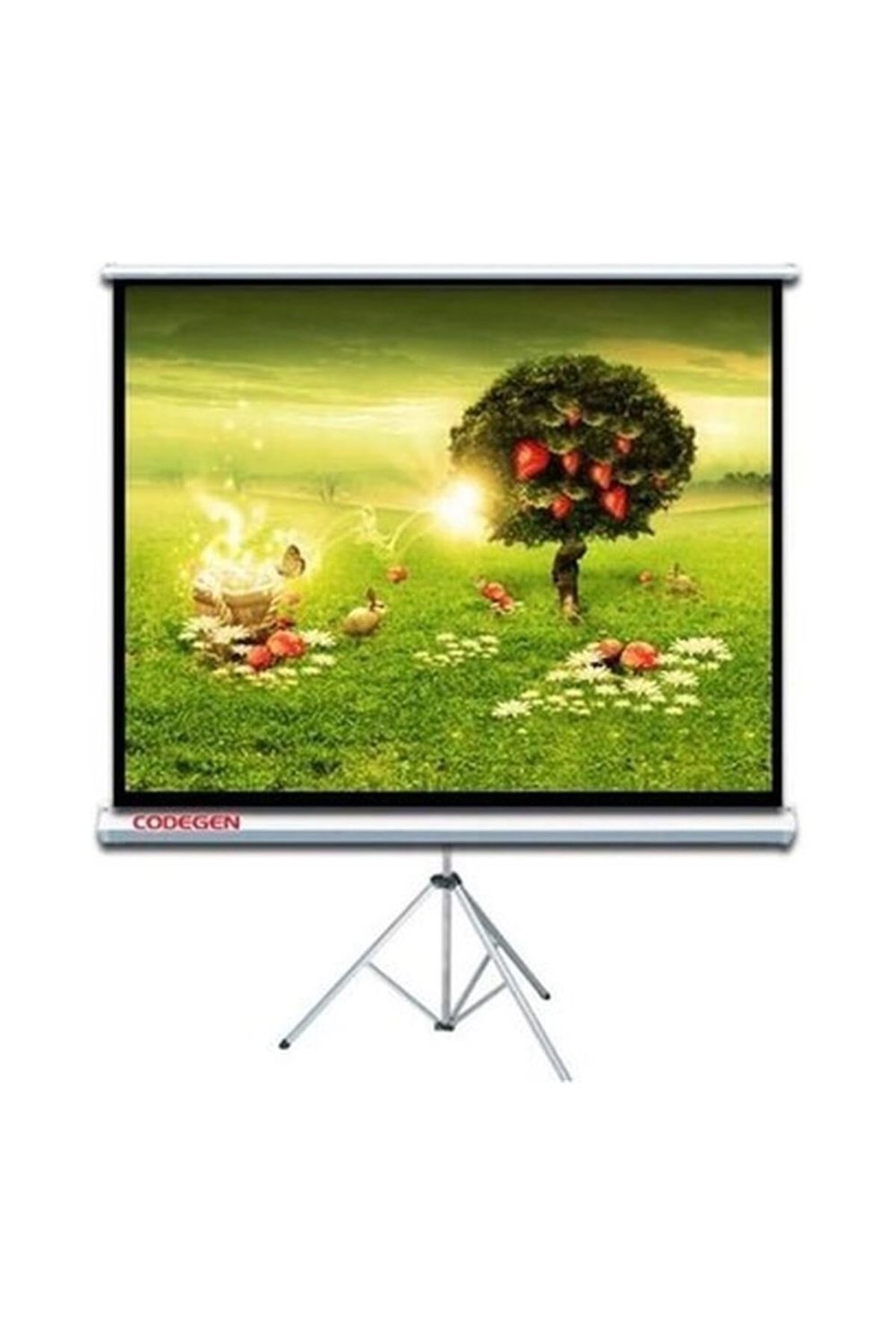 codegen-tx-24-240x200-tripod-projeksiy-e10-88.jpg